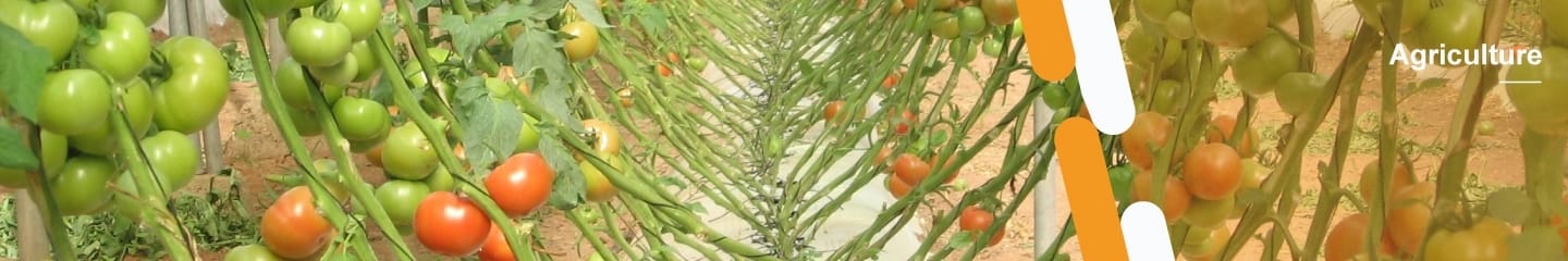 agriculture